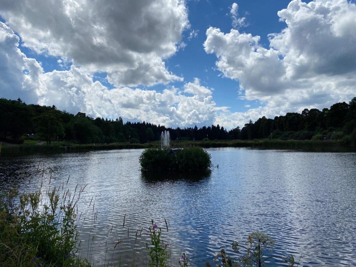 Steinmaennchen Ferienwohnung Goslar Exteriör bild
