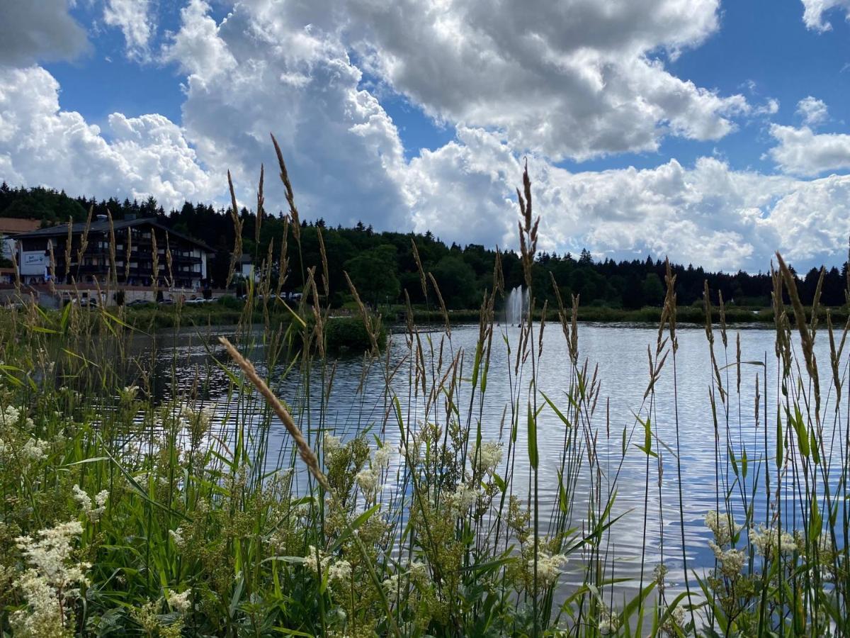 Steinmaennchen Ferienwohnung Goslar Exteriör bild